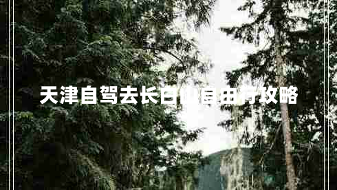 天津自駕去長白山自由行攻略