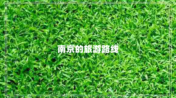 南京的旅游路線