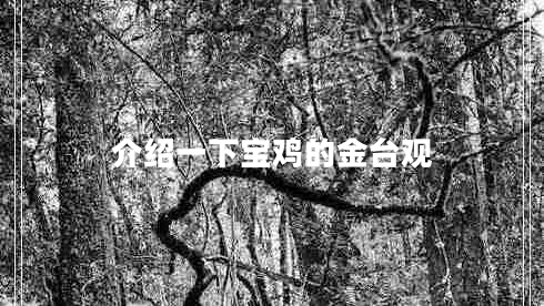 介紹一下寶雞的金臺(tái)觀