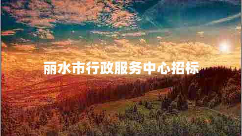 麗水市行政服務(wù)中心招標(biāo)