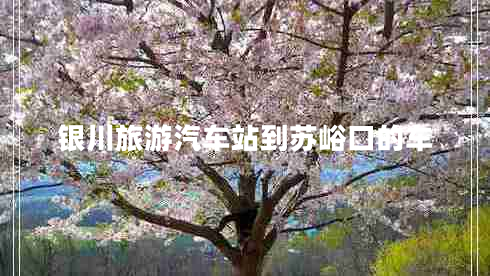 銀川旅游汽車站到蘇峪口的車