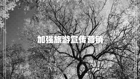 加強(qiáng)旅游宣傳營(yíng)銷