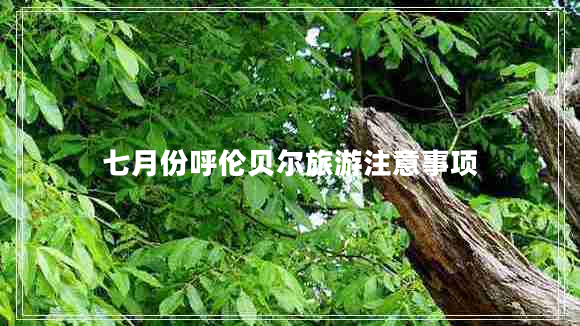 七月份呼倫貝爾旅游注意事項(xiàng)