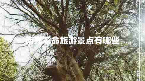 南充革命旅游景點有哪些