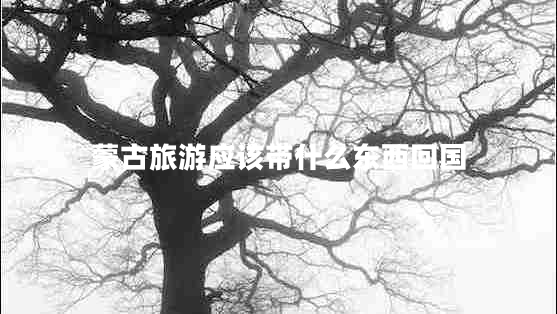 蒙古旅游應(yīng)該帶什么東西回國(guó)