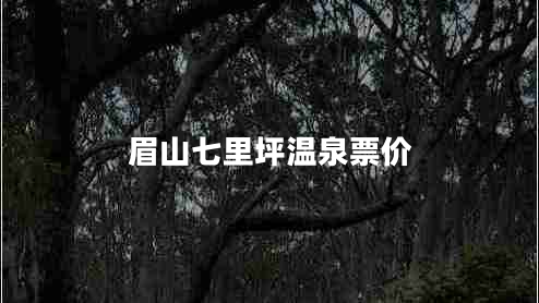 眉山七里坪溫泉票價