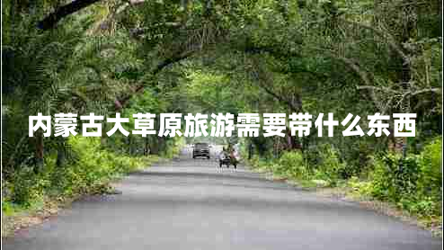 內(nèi)蒙古大草原旅游需要帶什么東西