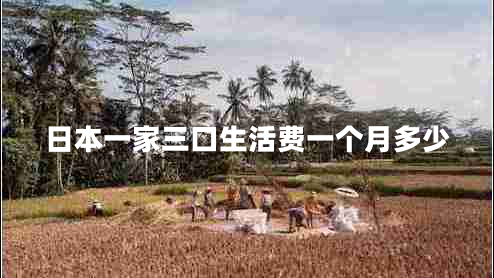 日本一家三口生活費(fèi)一個(gè)月多少