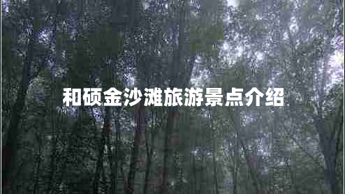 和碩金沙灘旅游景點介紹