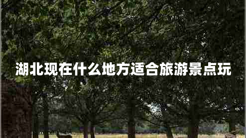 湖北現(xiàn)在什么地方適合旅游景點玩