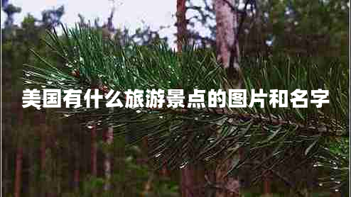 美國(guó)有什么旅游景點(diǎn)的圖片和名字