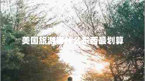 美國旅游帶什么東西最劃算