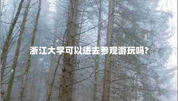 浙江大學(xué)可以進(jìn)去參觀游玩嗎?