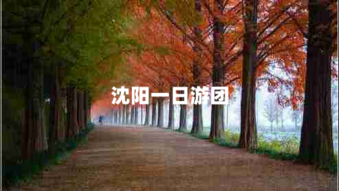 沈陽一日游團(tuán)