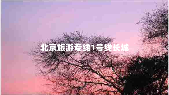 北京旅游專線1號線長城