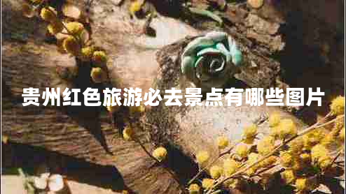 貴州紅色旅游必去景點有哪些圖片