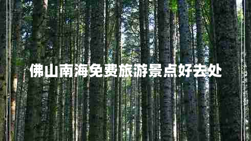 佛山南海免費旅游景點好去處