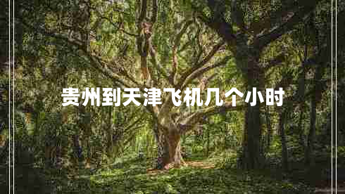 貴州到天津飛機幾個小時