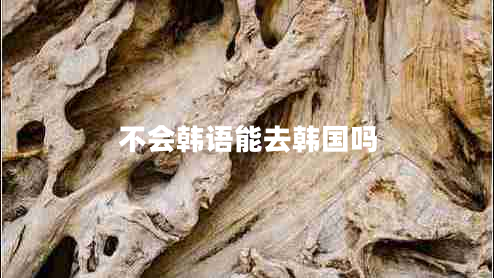不會韓語能去韓國嗎
