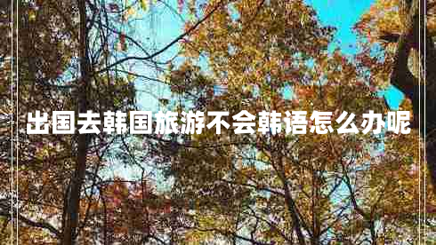 出國(guó)去韓國(guó)旅游不會(huì)韓語(yǔ)怎么辦呢