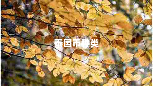 泰國幣種類