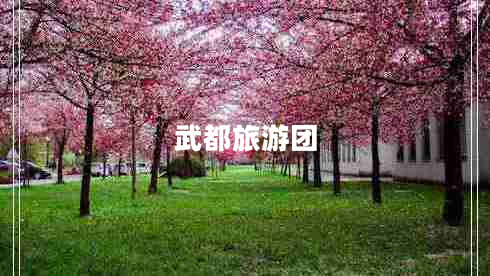 武都旅游團(tuán)