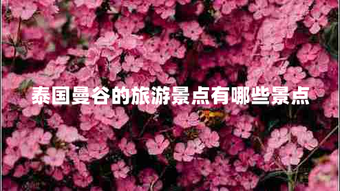 泰國(guó)曼谷的旅游景點(diǎn)有哪些景點(diǎn)
