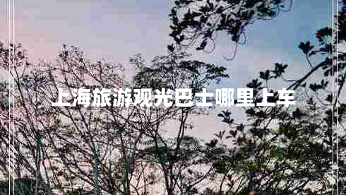 上海旅游觀光巴士哪里上車