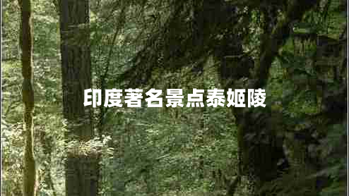 印度著名景點(diǎn)泰姬陵