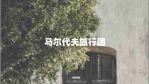 馬爾代夫旅行團(tuán)