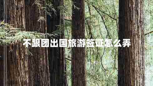 不跟團出國旅游簽證怎么弄