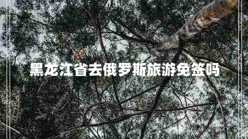 黑龍江省去俄羅斯旅游免簽嗎