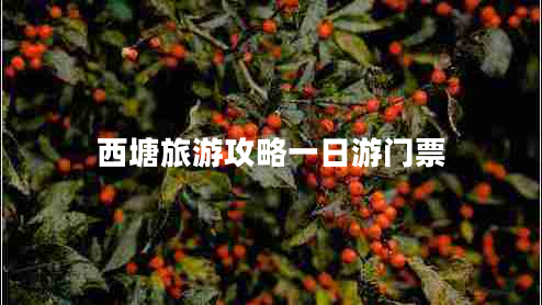 西塘旅游攻略一日游門票