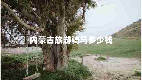 內蒙古旅游騎馬多少錢