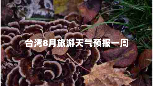 臺灣8月旅游天氣預(yù)報一周