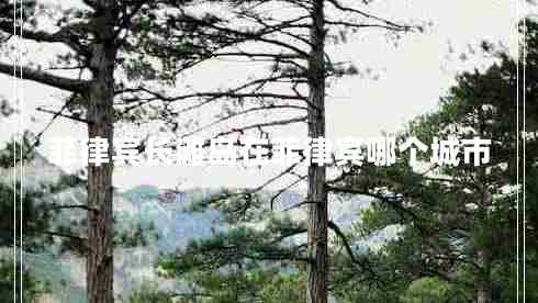 菲律賓長(zhǎng)灘島在菲律賓哪個(gè)城市