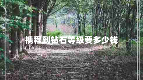 攜程到鉆石等級要多少錢