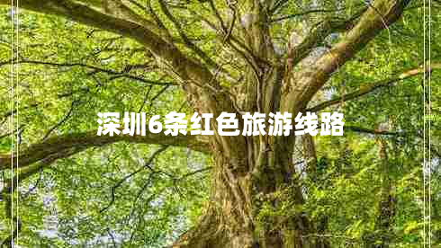 深圳6條紅色旅游線路