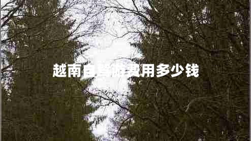越南自駕游費(fèi)用多少錢