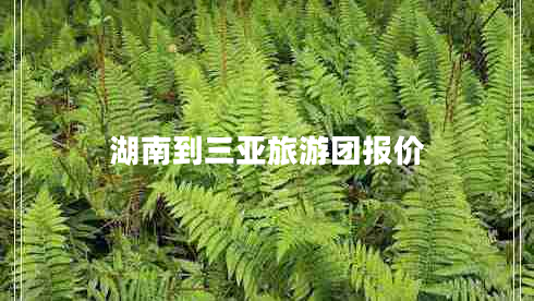 湖南到三亞旅游團(tuán)報(bào)價(jià)