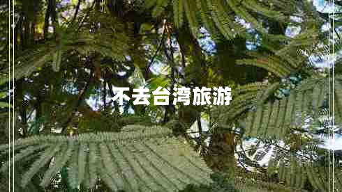 不去臺(tái)灣旅游