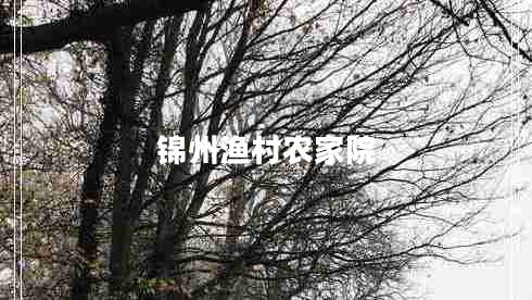 錦州漁村農(nóng)家院