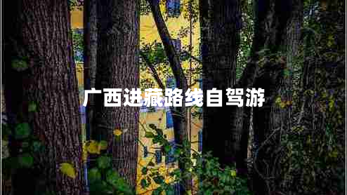廣西進(jìn)藏路線自駕游