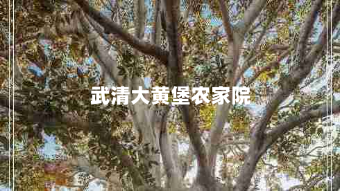武清大黃堡農(nóng)家院