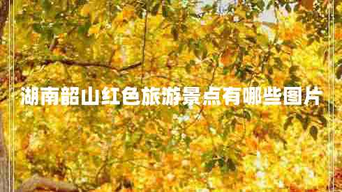 湖南韶山紅色旅游景點有哪些圖片