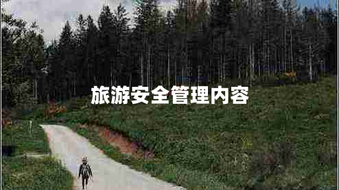 旅游安全管理內(nèi)容