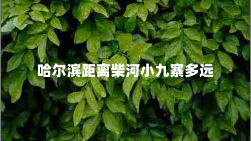 哈爾濱距離柴河小九寨多遠(yuǎn)