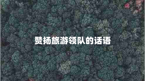 贊揚(yáng)旅游領(lǐng)隊(duì)的話語