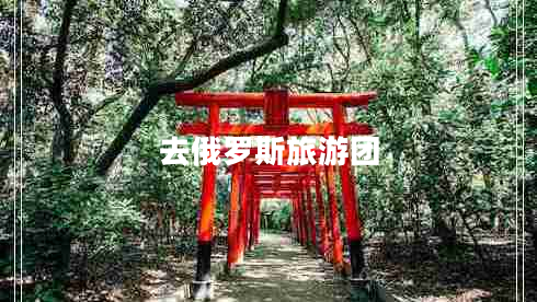 去俄羅斯旅游團(tuán)