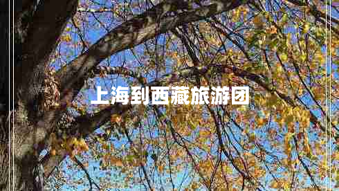 上海到西藏旅游團(tuán)